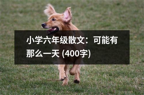 小學(xué)六年級(jí)散文：可能有那么一天 (400字)