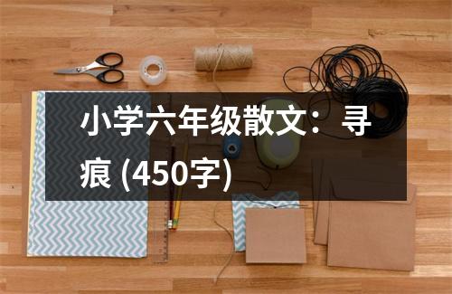 小學(xué)六年級(jí)散文：尋痕 (450字)