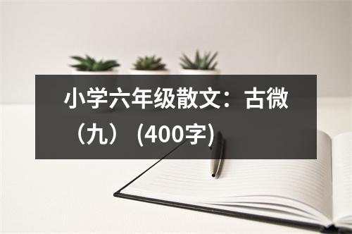 小學(xué)六年級散文：古微（九） (400字)