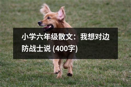 小學(xué)六年級散文：我想對邊防戰(zhàn)士說 (400字)