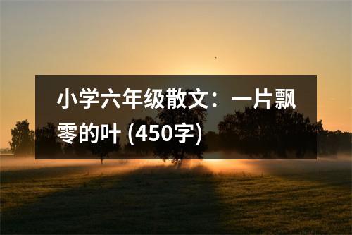 小學六年級散文：一片飄零的葉 (450字)