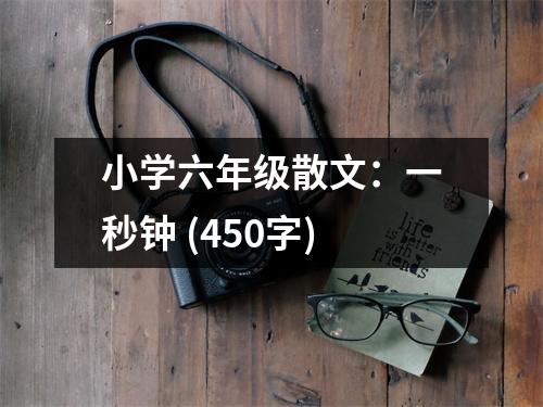 小學(xué)六年級散文：一秒鐘 (450字)