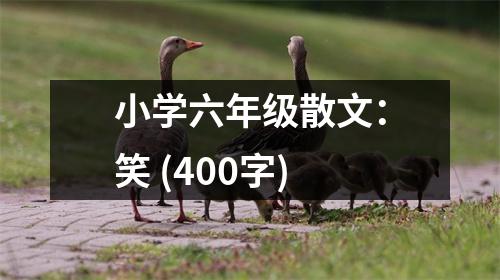 小學(xué)六年級(jí)散文：笑 (400字)