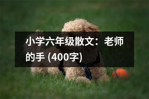 小學六年級散文：老師的手 (400字)