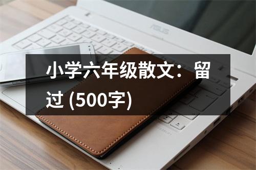 小學(xué)六年級(jí)散文：留過(guò) (500字)