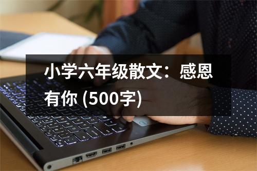 小學(xué)六年級散文：感恩有你 (500字)