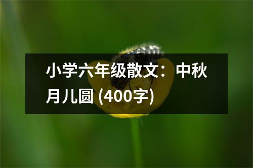 小學六年級散文：中秋月兒圓 (400字)
