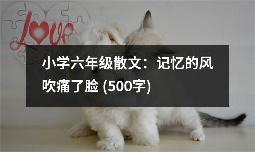小學(xué)六年級散文：記憶的風(fēng)吹痛了臉 (500字)