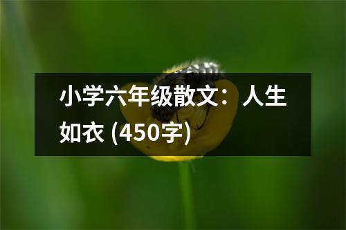 小學(xué)六年級(jí)散文：人生如衣 (450字)