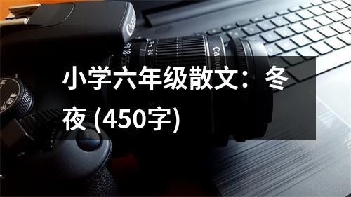 小學(xué)六年級散文：冬夜 (450字)