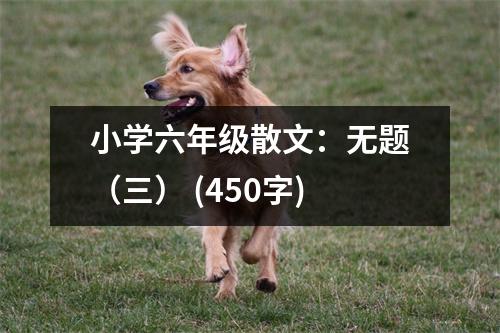 小學(xué)六年級散文：無題（三） (450字)
