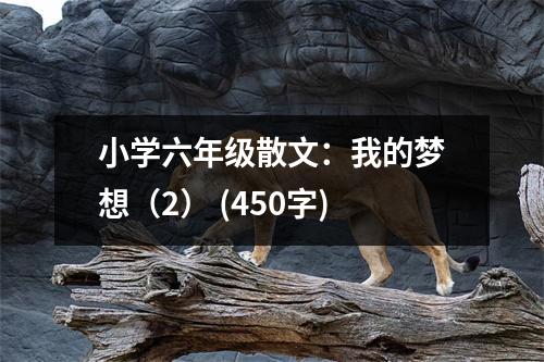 小學(xué)六年級散文：我的夢想（2） (450字)