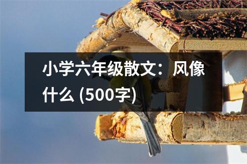 小學(xué)六年級(jí)散文：風(fēng)像什么 (500字)