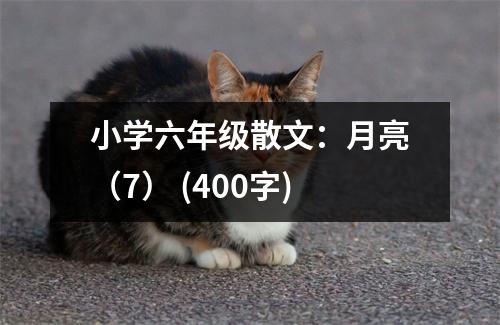 小學(xué)六年級(jí)散文：月亮（7） (400字)