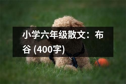 小學(xué)六年級(jí)散文：布谷 (400字)