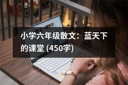 小學(xué)六年級散文：藍(lán)天下的課堂 (450字)