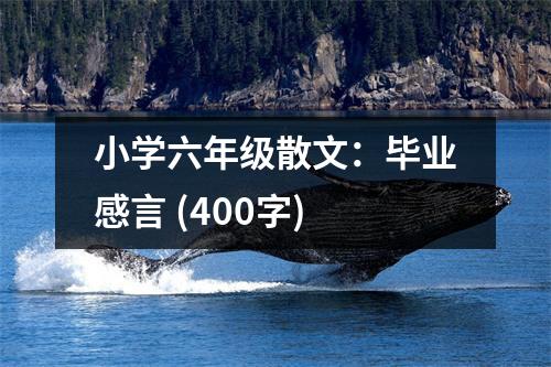 小學六年級散文：畢業(yè)感言 (400字)