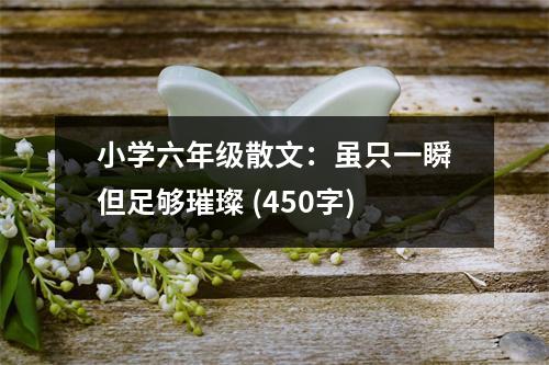 小學(xué)六年級散文：雖只一瞬但足夠璀璨 (450字)