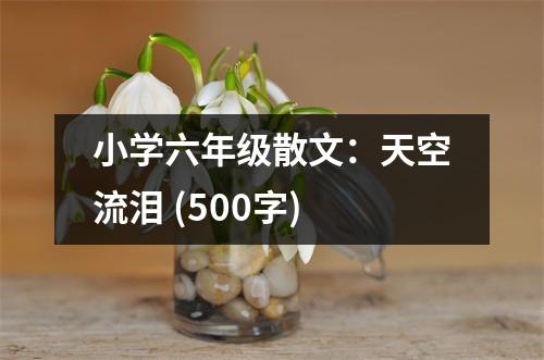 小學(xué)六年級(jí)散文：天空流淚 (500字)