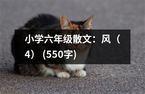 小學(xué)六年級(jí)散文：風(fēng)（4） (550字)