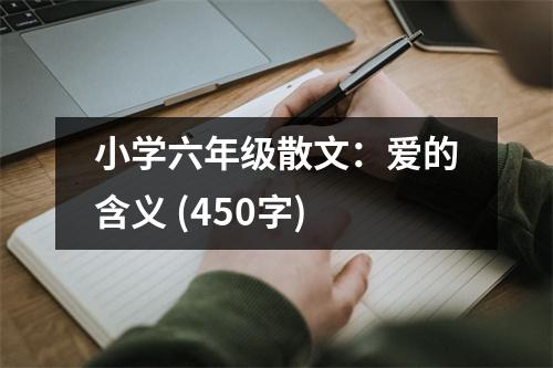 小學(xué)六年級散文：愛的含義 (450字)