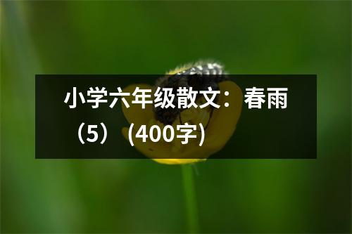 小學(xué)六年級散文：春雨（5） (400字)