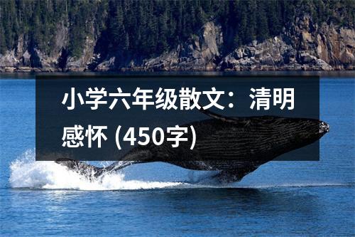 小學(xué)六年級(jí)散文：清明感懷 (450字)
