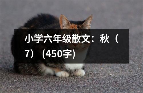 小學(xué)六年級散文：秋（7） (450字)