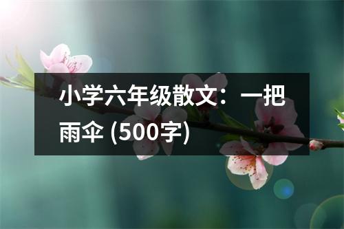 小學(xué)六年級散文：一把雨傘 (500字)