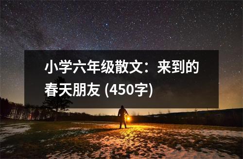 小學(xué)六年級(jí)散文：來到的春天朋友 (450字)