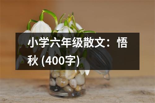 小學(xué)六年級(jí)散文：悟秋 (400字)