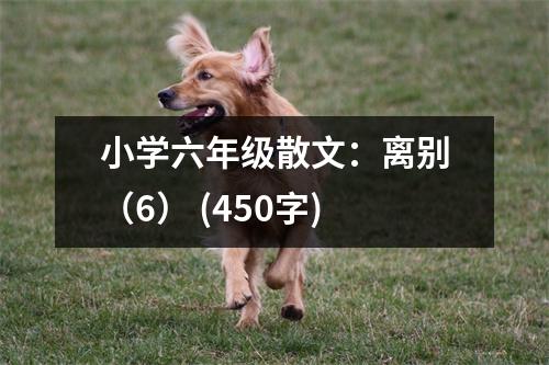 小學(xué)六年級散文：離別（6） (450字)