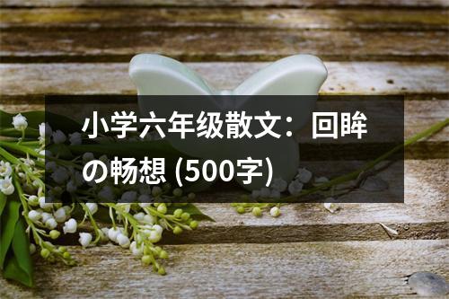 小學(xué)六年級(jí)散文：回眸の暢想 (500字)