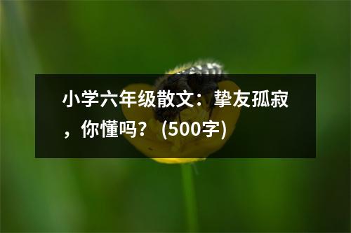 小學(xué)六年級(jí)散文：摯友孤寂，你懂嗎？ (500字)