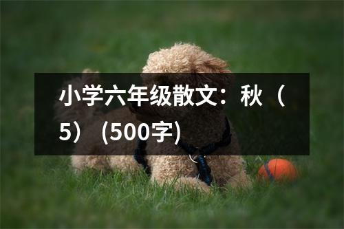小學(xué)六年級(jí)散文：秋（5） (500字)