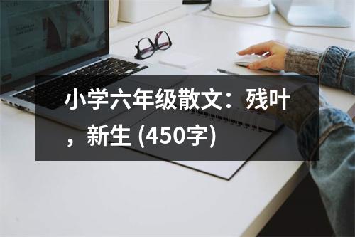 小學六年級散文：殘葉，新生 (450字)