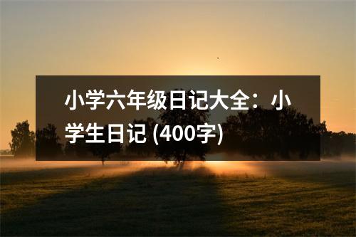 小學(xué)六年級日記大全：小學(xué)生日記 (400字)