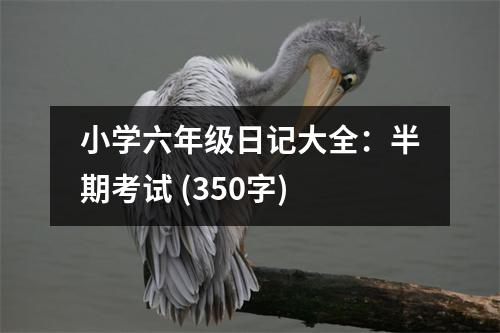 小學(xué)六年級(jí)日記大全：半期考試 (350字)