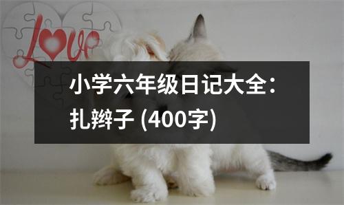 小學(xué)六年級日記大全：扎辮子 (400字)