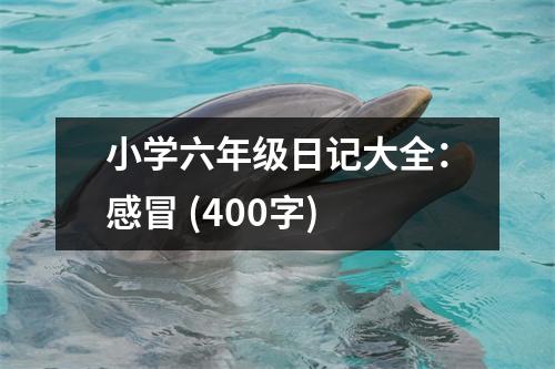 小學(xué)六年級(jí)日記大全：感冒 (400字)