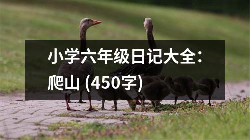 小學(xué)六年級(jí)日記大全：爬山 (450字)