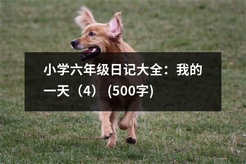 小學六年級日記大全：我的一天（4） (500字)