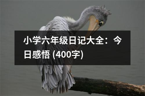 小學(xué)六年級(jí)日記大全：今日感悟 (400字)
