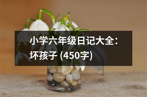 小學六年級日記大全：壞孩子 (450字)