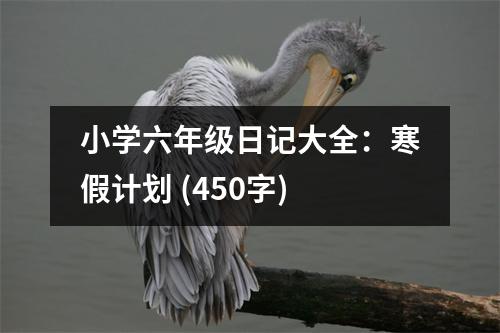 小學(xué)六年級日記大全：寒假計(jì)劃 (450字)