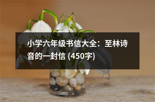 小學(xué)六年級書信大全：至林詩音的一封信 (450字)