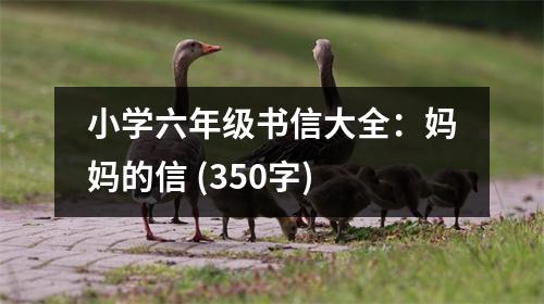 小學(xué)六年級(jí)書(shū)信大全：媽媽的信 (350字)