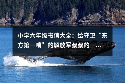 小學(xué)六年級(jí)書(shū)信大全：給守衛(wèi)“東方第一哨”的解放軍叔叔的一封信 (350字)