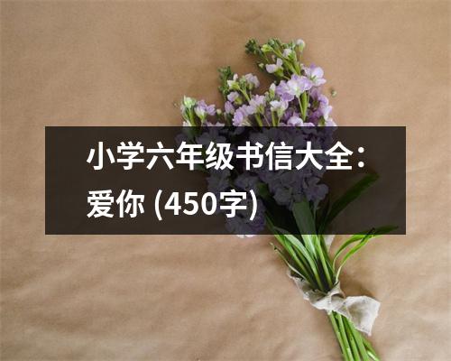 小學(xué)六年級(jí)書信大全：愛你 (450字)