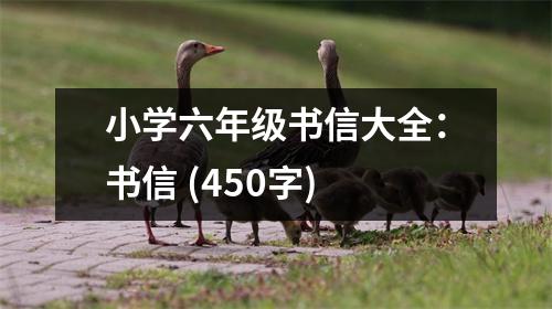 小學(xué)六年級(jí)書信大全：書信 (450字)